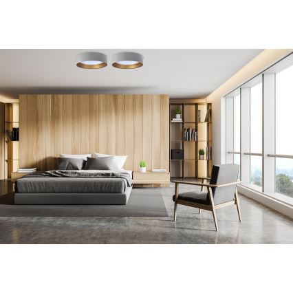 LED Stropní svítidlo GALAXY LED/24W/230V pr. 44 cm šedá/zlatá