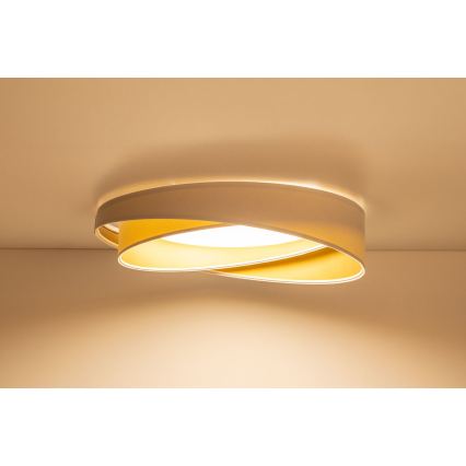 LED Stropní svítidlo GALAXY MODERN LED/24W/230V pr. 55 cm bílá/zlatá