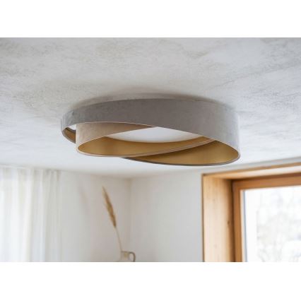 LED Stropní svítidlo GALAXY MODERN LED/24W/230V pr. 55 cm šedá/béžová/zlatá