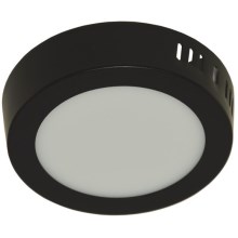LED Stropní svítidlo GERRIT LED/6W/230V 4000K černá