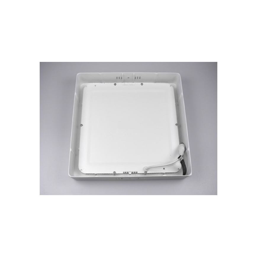 LED Stropní svítidlo GERRY LED/18W/230V 4000K bílá