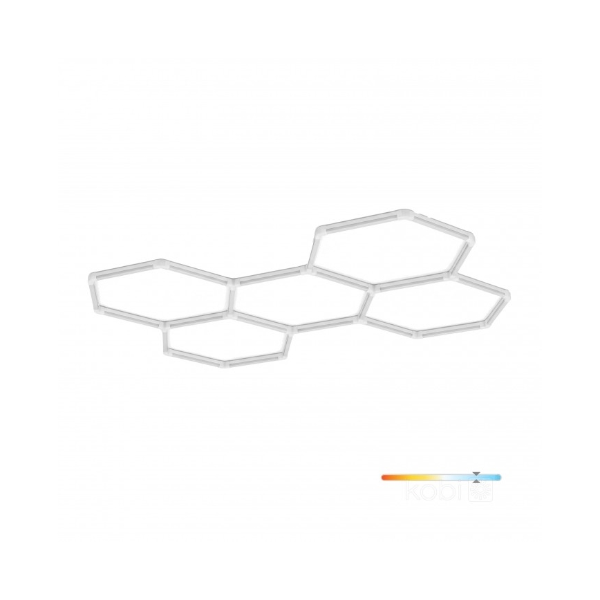 LED Stropní svítidlo HEXLINE LED/216W/230V 6500K 208x300 cm bílá