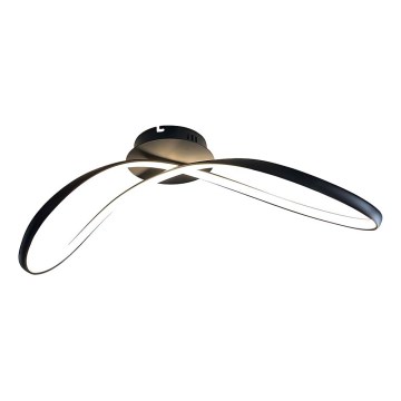 LED Stropní svítidlo INFINITY LED/21W/230V černá