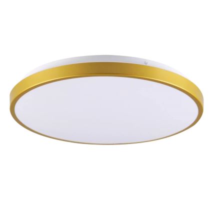 LED Stropní svítidlo KERN LED/15W/230V pr. 29 cm