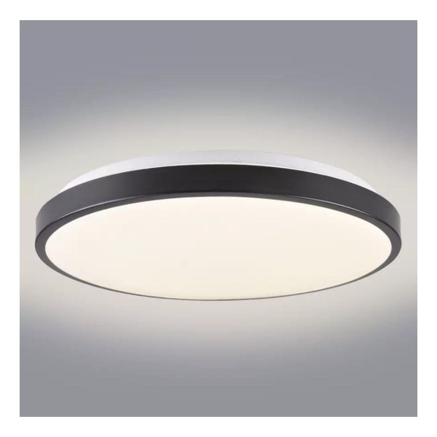 LED Stropní svítidlo KERN LED/24W/230V černá