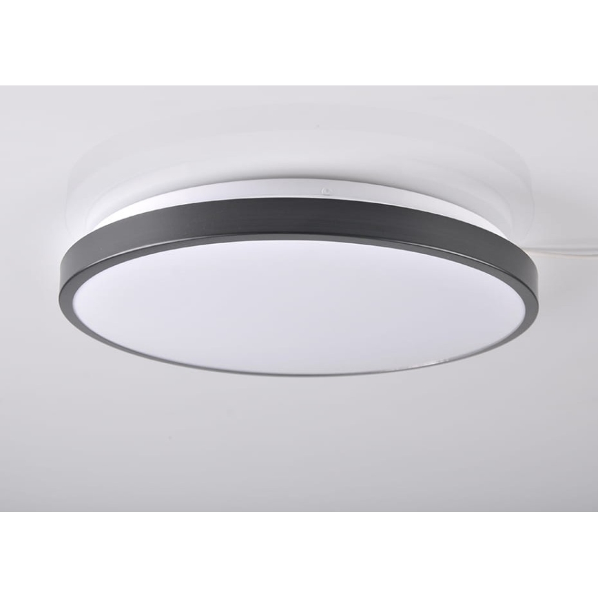 LED Stropní svítidlo KERN LED/24W/230V černá