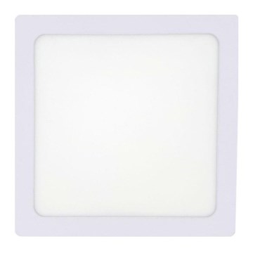 LED Stropní svítidlo LED/12W/230V 2700K 16,3x16,3 cm bílá