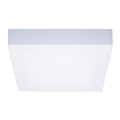 LED Stropní svítidlo LED/12W/230V 3000/4000/6000K 17x17 cm bílá