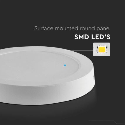 LED Stropní svítidlo LED/12W/230V 3000K bílá