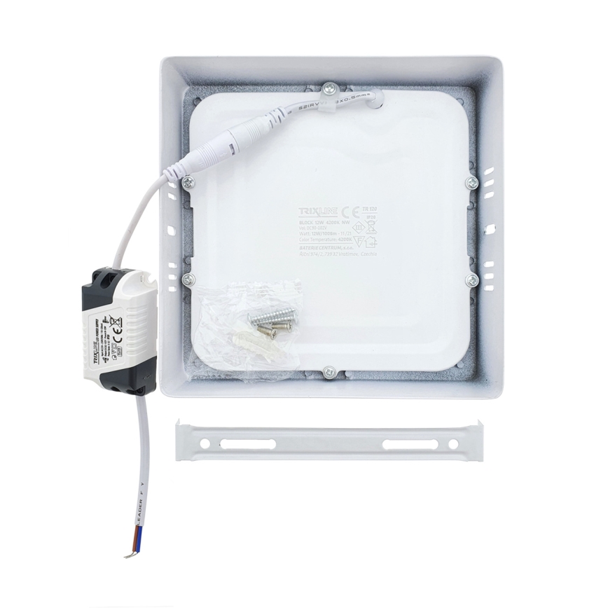 LED Stropní svítidlo LED/12W/230V 4200K