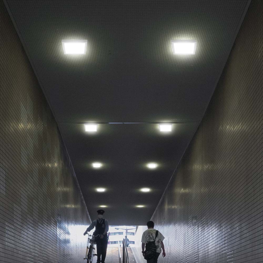 LED Stropní svítidlo LED/12W/230V 6500K 16,7x16,7 cm bílá