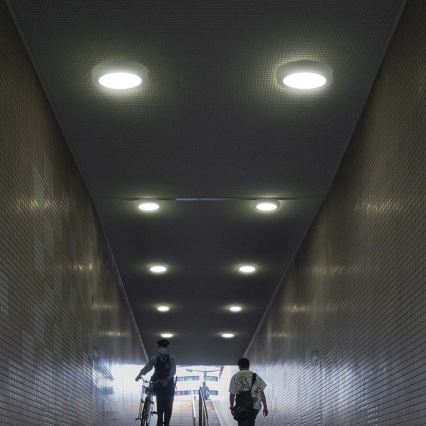 LED Stropní svítidlo LED/12W/230V 6500K pr. 16,7 cm bílá