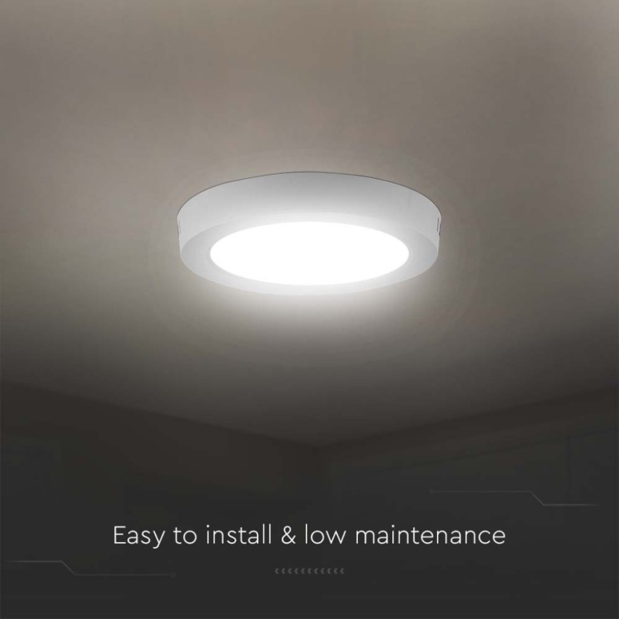 LED Stropní svítidlo LED/12W/230V 6500K pr. 16,7 cm bílá