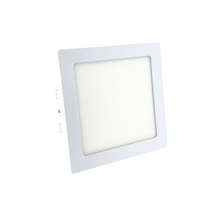 LED Stropní svítidlo LED/12W/230V 6500K