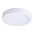 LED Stropní svítidlo LED/18W/230V 3000/4000/6000K pr. 22,5 cm bílá