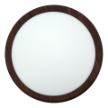 LED Stropní svítidlo LED/18W/230V 3000/4000/6500K pr. 23 cm hnědá