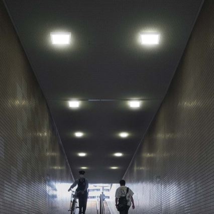 LED Stropní svítidlo LED/18W/230V 3000K 21,4x21,4 cm bílá