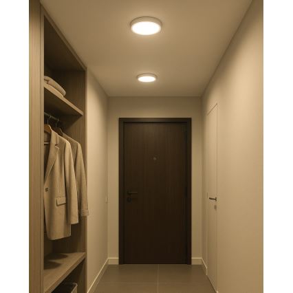 LED Stropní svítidlo LED/18W/230V 4200K pr. 21 cm bílá