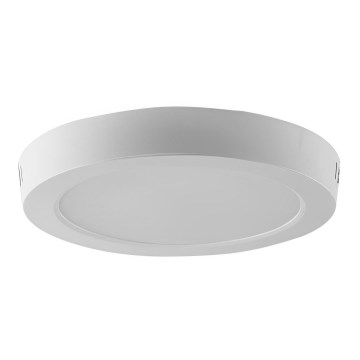 LED Stropní svítidlo LED/18W/230V 6500K