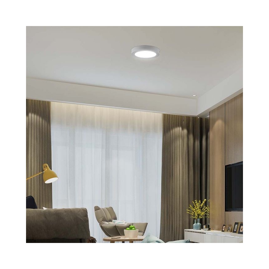 LED Stropní svítidlo LED/18W/230V 6500K