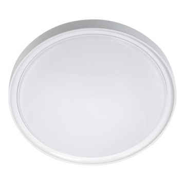 LED Stropní svítidlo LED/18W/230V pr. 30 cm bílá