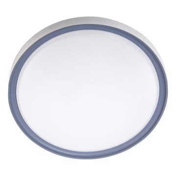 LED Stropní svítidlo LED/18W/230V pr. 30 cm bílá/šedá
