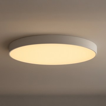 LED Stropní svítidlo LED/200W/230V 3000/4000/6500K pr. 100 cm bílá