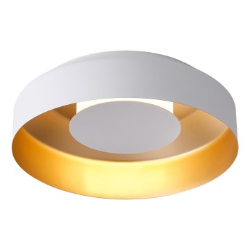 LED Stropní svítidlo LED/20W/230V 3000K bílá
