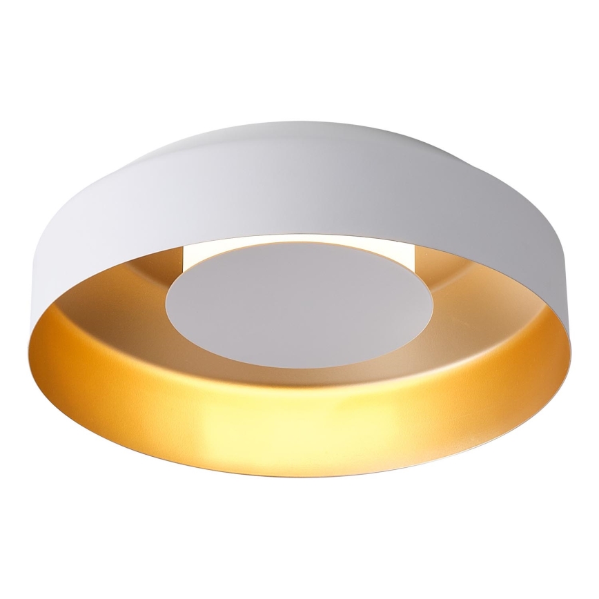 LED Stropní svítidlo LED/20W/230V 3000K bílá