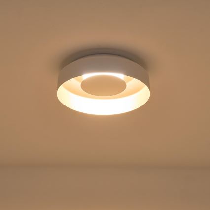LED Stropní svítidlo LED/20W/230V 3000K bílá
