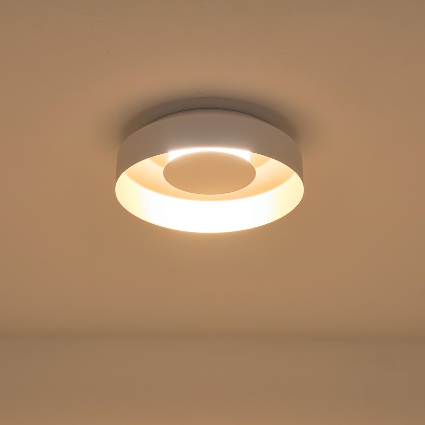 LED Stropní svítidlo LED/20W/230V 3000K bílá