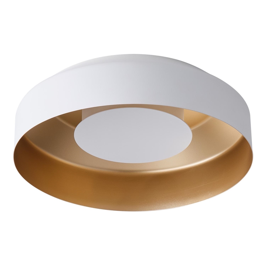 LED Stropní svítidlo LED/20W/230V 3000K bílá