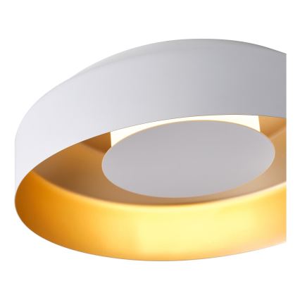LED Stropní svítidlo LED/20W/230V 3000K bílá
