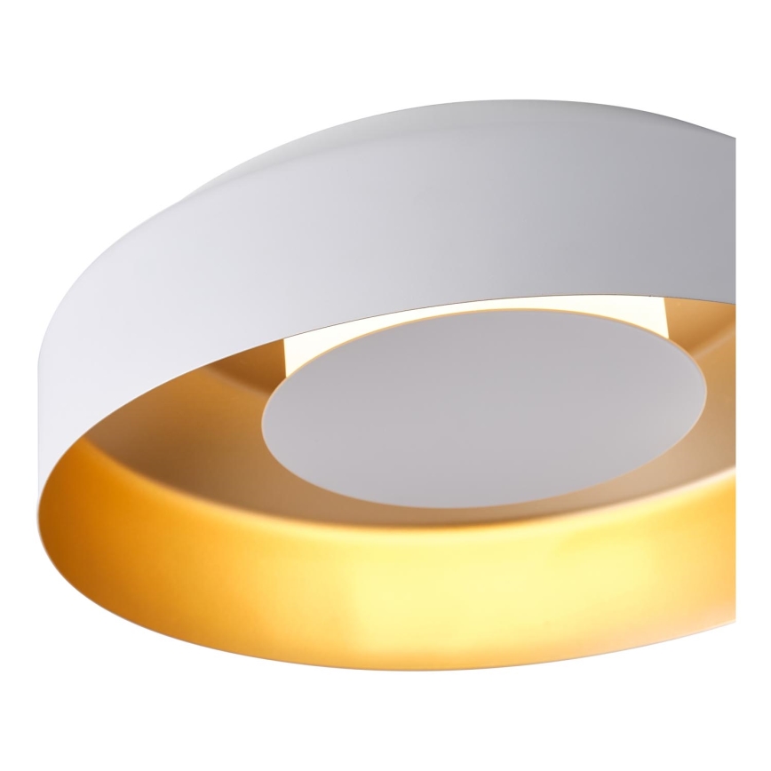 LED Stropní svítidlo LED/20W/230V 3000K bílá