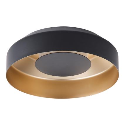 LED Stropní svítidlo LED/20W/230V 3000K černá