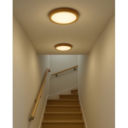 LED Stropní svítidlo LED/24W/230V 3000/4000/6500K pr. 30 cm béžová