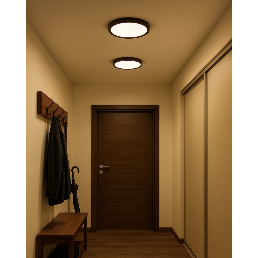 LED Stropní svítidlo LED/24W/230V 3000/4000/6500K pr. 30 cm hnědá
