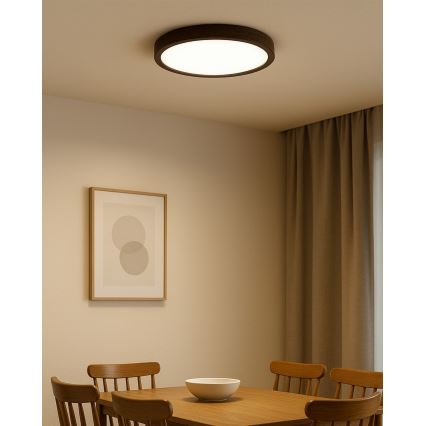 LED Stropní svítidlo LED/24W/230V 3000/4000/6500K pr. 30 cm hnědá