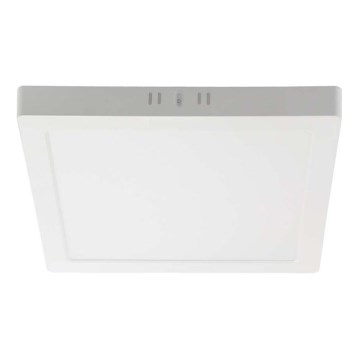 LED Stropní svítidlo LED/24W/230V 3000K 28,7x28,7 cm bílá