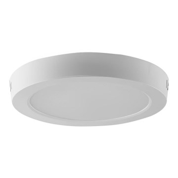 LED Stropní svítidlo LED/24W/230V 3000K