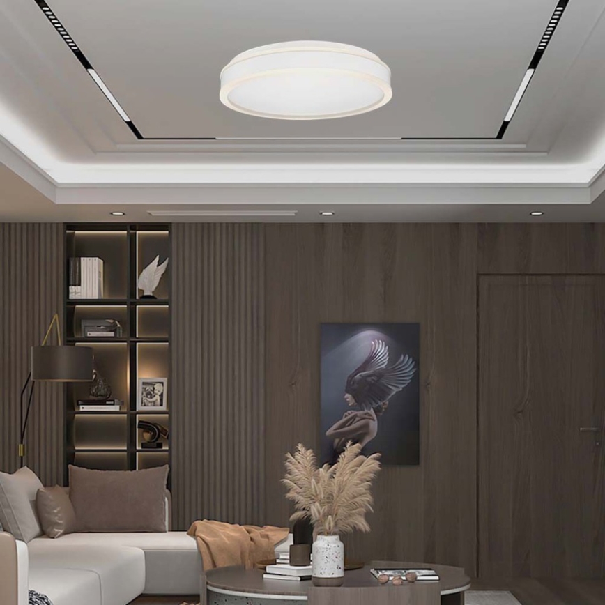 LED Stropní svítidlo LED/24W/230V 4000K pr. 45 cm bílá