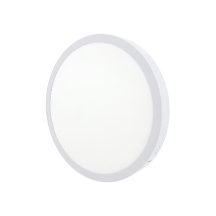 LED Stropní svítidlo LED/24W/230V 4200K