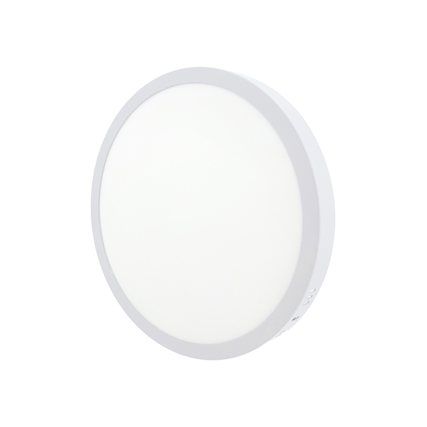 LED Stropní svítidlo LED/24W/230V 4200K