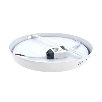 LED Stropní svítidlo LED/24W/230V 4200K pr. 28,5 cm bílá