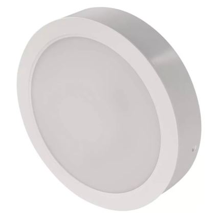 LED Stropní svítidlo LED/24W/230V pr. 22 cm bílá