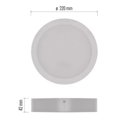 LED Stropní svítidlo LED/24W/230V pr. 22 cm bílá