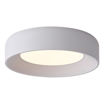 LED Stropní svítidlo LED/30W/230V 3000K bílá