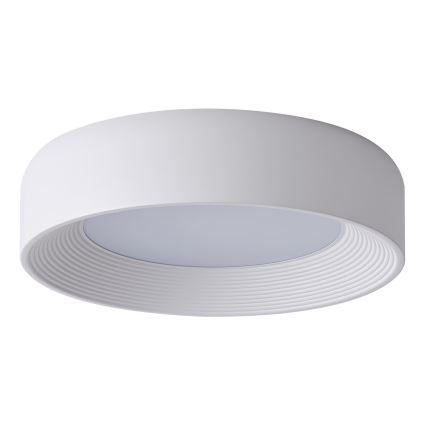 LED Stropní svítidlo LED/30W/230V 3000K bílá pr. 40 cm