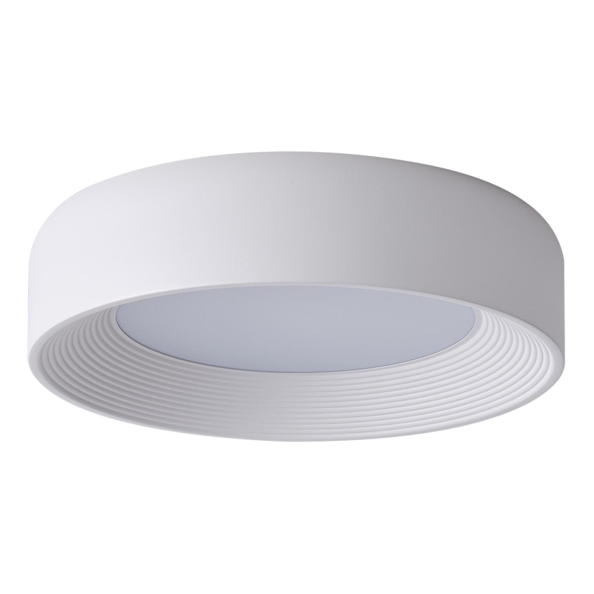 LED Stropní svítidlo LED/30W/230V 3000K bílá pr. 40 cm