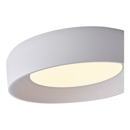 LED Stropní svítidlo LED/30W/230V 3000K bílá pr. 40 cm